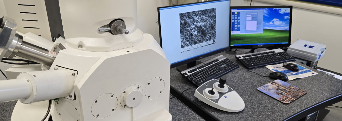 Microscopia elettronica a scansione a fascio elettronico